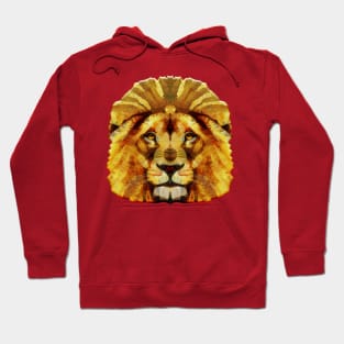 lion king Hoodie